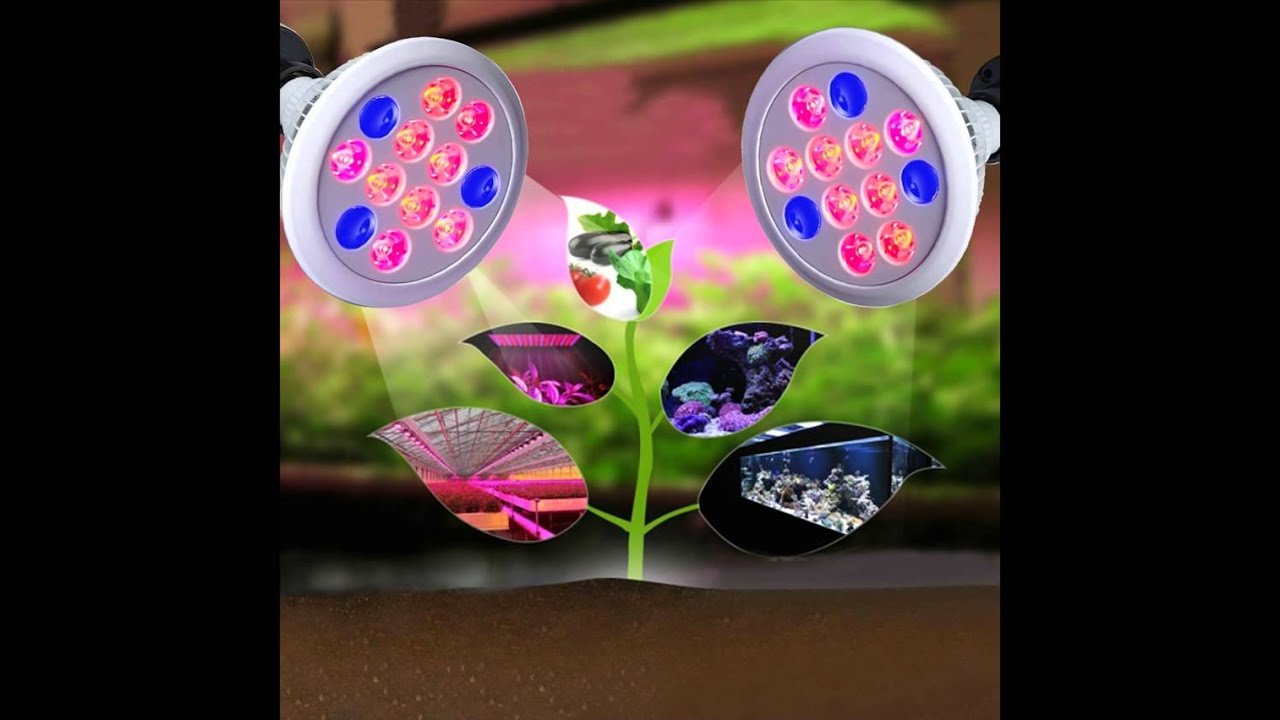 Win A Free LED Indoor Grow Light - YouTube