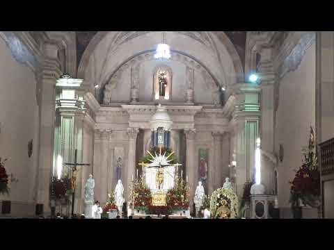 Viva Cristo Rey