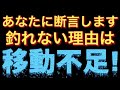 【これ見たら動きます】シーバスに近づく絶対条件！