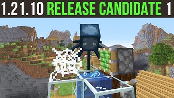 Rijdieren van Chaos? | Minecraft 1.21.10 Release Candidate 1
