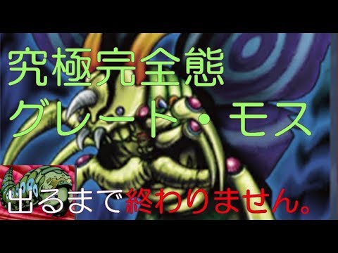 遊戯王デュエルリンクス 無課金 究極完全態グレート モス 出るまで