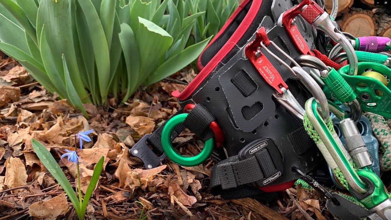 Vault Maintenance YouTube