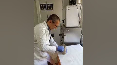 synthesis of carbon quantum dots details, #fondzanauku, #virotaxi, #6443834