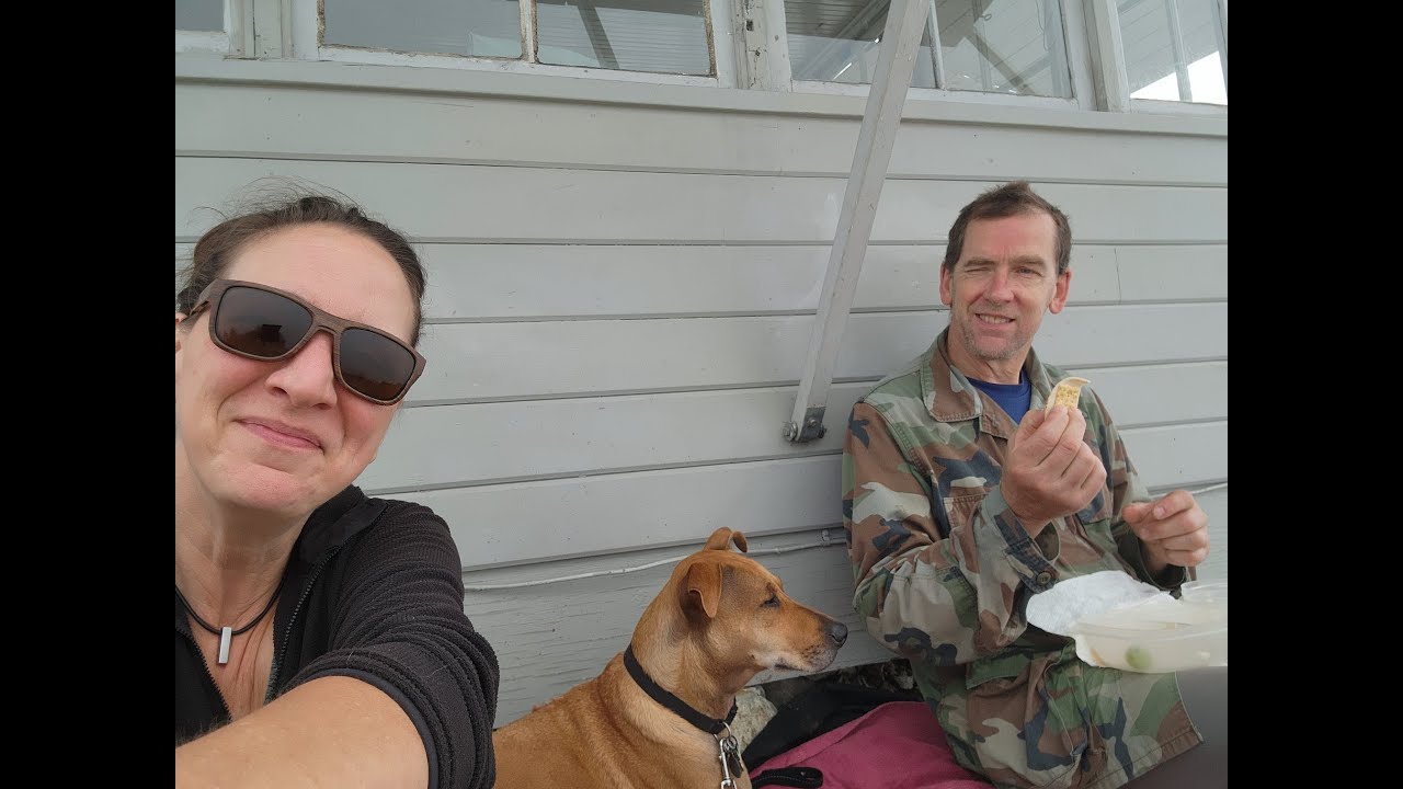Evergreen Lookout and Forest Snacks