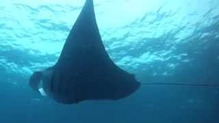 Join us in Palau November 2013