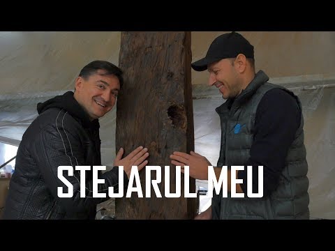 Video: Ce este mai bine tratat sub presiune lemnul sau sequoia?