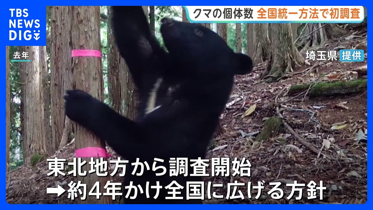 First Nationwide Survey on Bear Populations Begins: Using Over 800