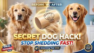 Best Secret Hack Deshedding Brush Tool For Dogs Review [INSANE RESULTS]