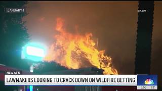 ‘Outraged. Polymarket allows people to bet on deadly wildfires in LA