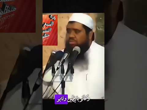 العيال الصيع فين بكره الصبح الشمس هتطلع