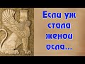 ТОП 20 МУДРЫХ ПЕРСИДСКИХ ПОСЛОВИЦ И ПОГОВОРОК. ЦИТАТЫ. АФОРИЗМЫ. МУДРЫЕ СЛОВА.