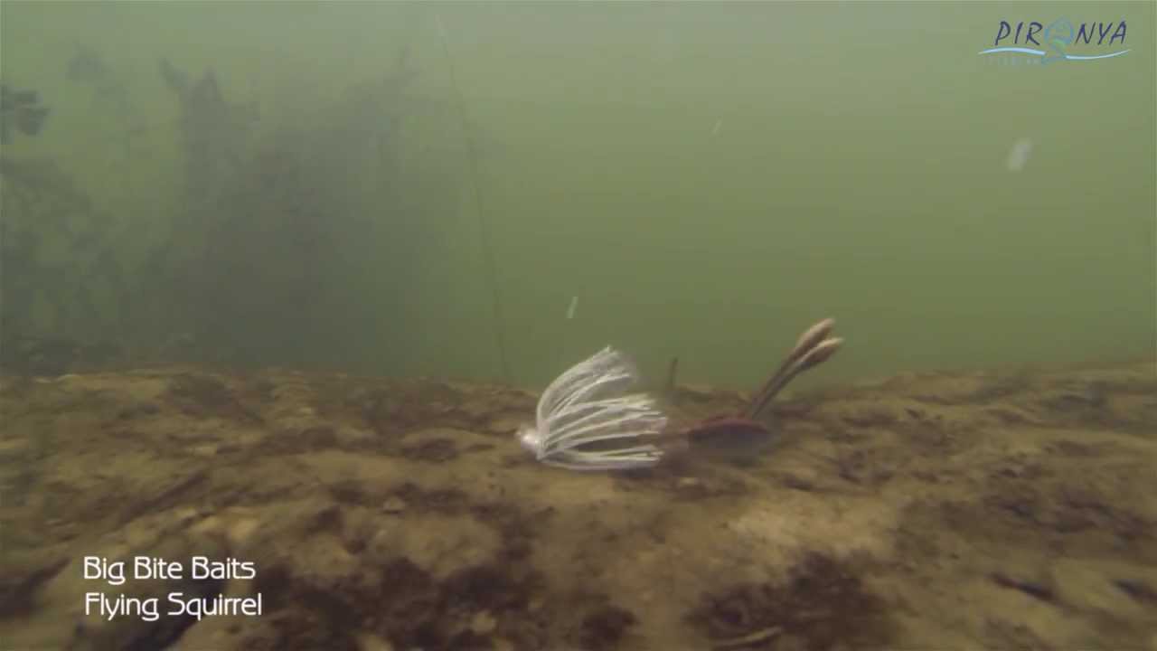 Big Bite Baits Flying Squirrel in action underwater (под водой) 