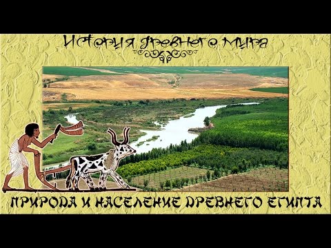 Природа и население Древнего Египта (рус.) История древнего мира.