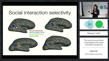 The neural computations underlying real-world social interaction perception