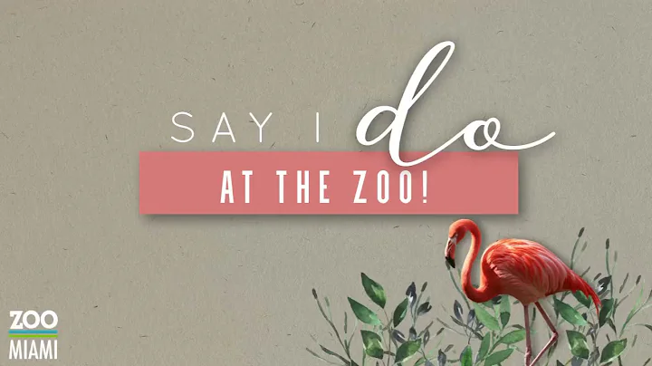 Say "I Do" At Zoo Miami
