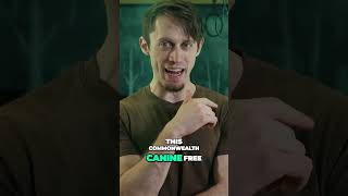 What Would A Contemporary Conjuring Movie Look Like?