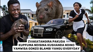 ZVAKATANGIRA PAKUDAKUPFUMA NDISINA KUSHANDA NDINOYAMWISA GONZO BLAMBI YANGU EVERYDAY