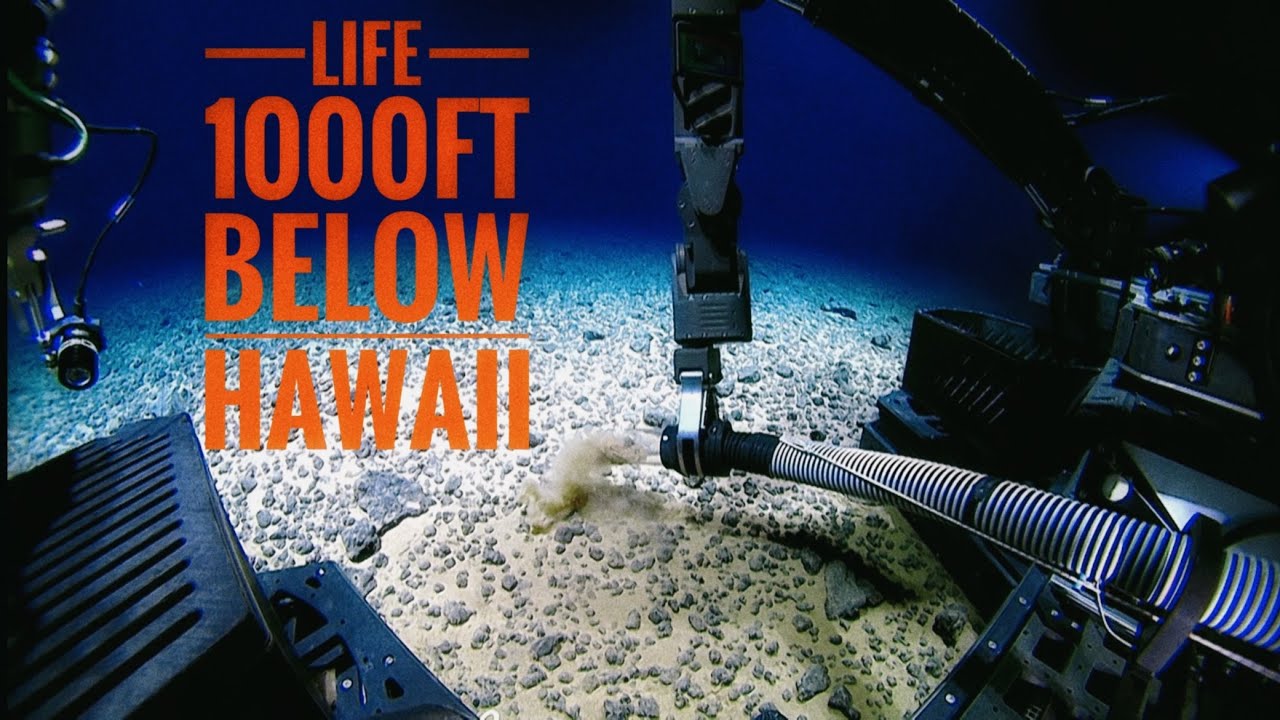 Beyond the Blue: Exploring the Deep Waters of Papahānaumokuākea