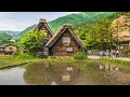 Rural village morning ambience  birds  sound effects  village sound effect