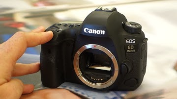 Canon EOS 6D Mark II 6fps Continuous Shooting (Shutter Sound)