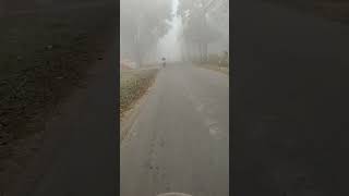 2023 Froggy Weather || 1st january 2023  #weather #winter #season #2023 #shorts
