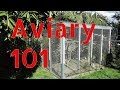 Outdoor Aviary 101 | Tips on Building a Large Aviary Outdoors
