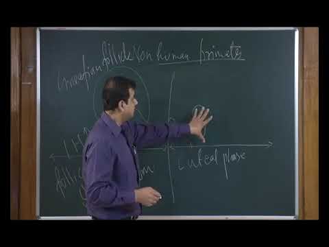 Bio class12 unit 04 chapter 04 Reproduction:Human Reproduction    Lecture -4/4