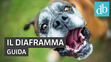 Come scegliere la giusta apertura del diaframma?