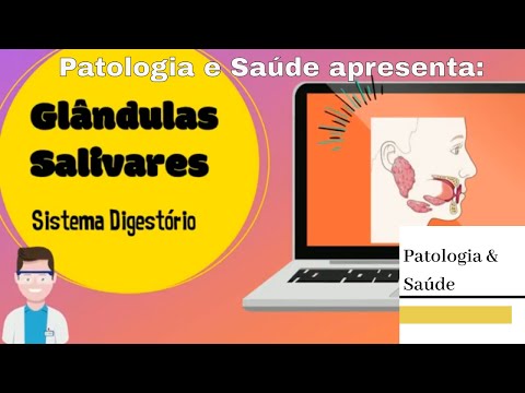 Vídeo: Onde estão localizadas as glândulas submucosas?