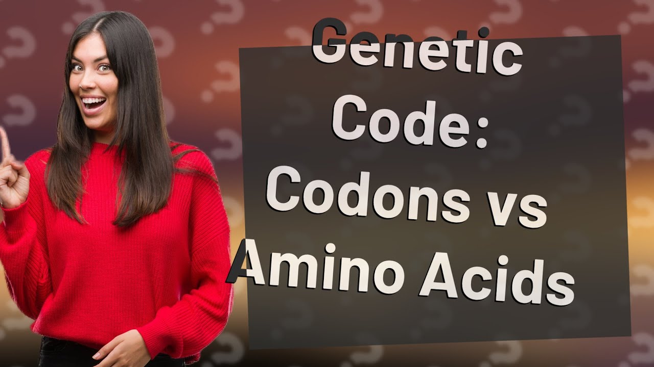 How many codons equals 1 amino acid? YouTube