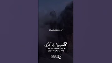 آرح قلبك❤تلاوة الخاشعة بصوت رعد الكردي حالات واتس اب راحة قلبك