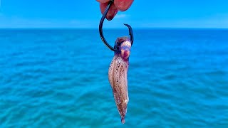 Fishing 100' DEEP with SQUID!! (Non-stop Action)