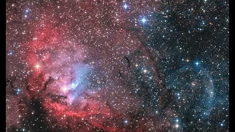 The Tulip and Cygnus X-1