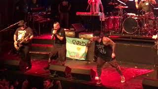 Video thumbnail of "P.O.D. - Alive - (Live) - Argentina 2017"