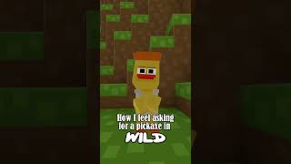 How I feel asking for a pickaxe in WILD