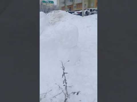 Снежная база