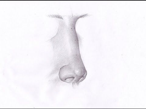 How to draw a nose. Как рисовать НОС ЧЕЛОВЕКА ВПОЛОБОРОТА карандашом. Урок 63