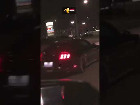   590    فورد موستنج ٥٩٠ حصان عراقية