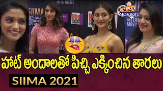 Siima 2021 Awards South India Actress Hot Red Carpet Entry At Siima Awards Event Multiplex