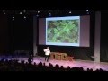 Green bronx machine  growing our way into a new economy stephen ritz at tedxmanhattan