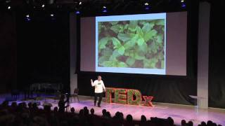 Green Bronx Machine -- growing our way into a new economy: Stephen Ritz at TEDxManhattan