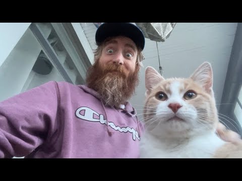 ASMR🐈Fast Aggressive Lofi Random Collab w/Roxie ASMR🐈(My Cat🤭)