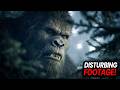 The Most Disturbing Bigfoot Encounters Ever Reported