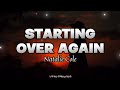 Starting Over Again Natalie Cole Lyrics mp3