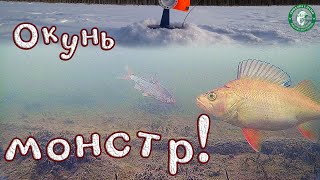 ОКУНЬ МОНСТР! РЫБАЛКАВ ШТОРМОВОЙ ВЕТЕР, ОЗЕРЕ В ТАЙГЕ, А ВЕДЬ ГИСМЕТЕО ПРЕДУПРЕЖДАЛ, ЛОВИМ НА УРАЛЕ! Видео: ОКУНЬ МОНСТР! РЫБАЛКАВ ШТОРМОВОЙ ВЕТЕР, ОЗЕРЕ В ТАЙГЕ, А ВЕДЬ ГИСМЕТЕО ПРЕДУПРЕЖДАЛ, ЛОВИМ НА УРАЛЕ!