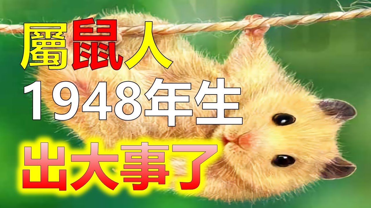 預測2024生肖運勢，1948年生人，是生肖鼠人，該年生肖鼠天克地合，1948年戊子鼠年生人，生肖鼠土能克水，水多土流，流年天干為旺水， 1948年屬鼠人一生運勢會受到影響，十二生肖（生肖鼠）阿南德