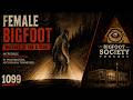 Bigfoot Watched His Family for a Year | Washington | Archives | Bigfoot Society 1099
