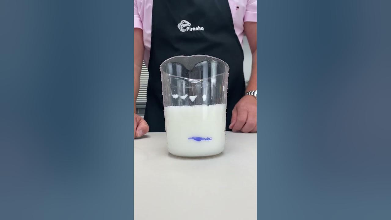 Whizzy Whisk from Piranha Milk Quick demo 