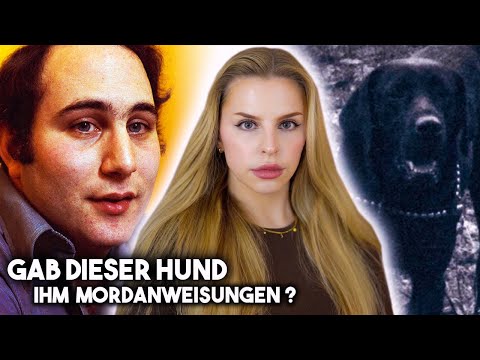 Video: War Berkowitz wirklich der Sohn von Sam?