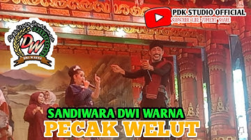 PECAK WELUT || VOC. ELA NANORIYANTO || SANDIWARA DWI WARNA || Ds. KERTANEGARA BLOK. 14  ||
